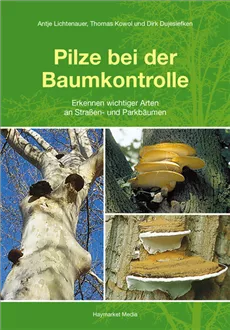 Pilze bei der Baumkontrolle