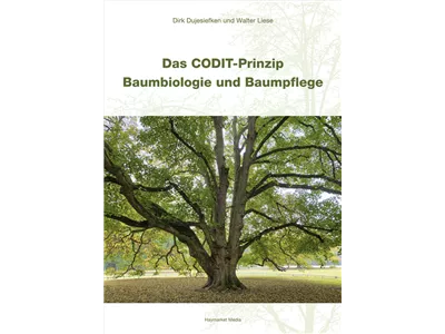 Das CODIT-Prinzip