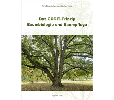 Das CODIT-Prinzip