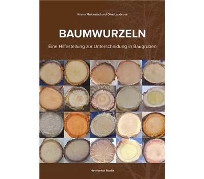 Baumwurzeln