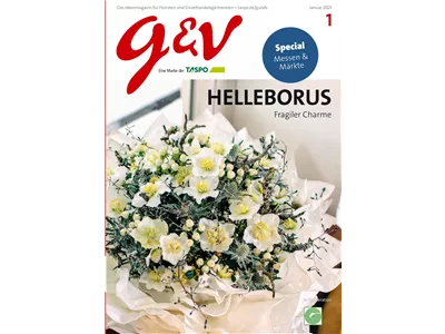 gestalten & verkaufen - Ausgabe 2025/01