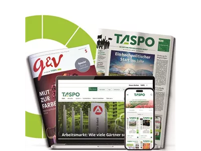 TASPO 360° inkl. g&v – Ihr Floristik-Abo