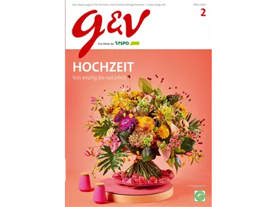 gestalten & verkaufen - Ausgabe 2025/02