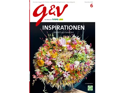 gestalten & verkaufen - Ausgabe 2025/06