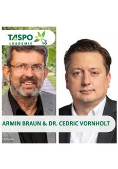 Verkehrssicherungspflicht bei Bäumen – Rechtliche Grundlagen für die Praxis