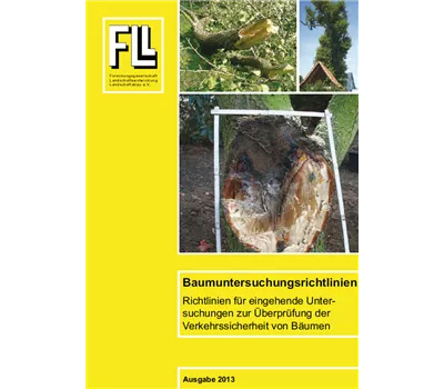 Baumuntersuchungsrichtlinien 2013